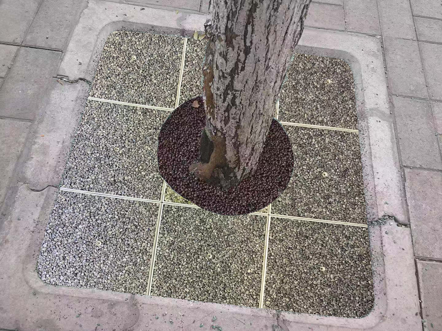 生态樹圍